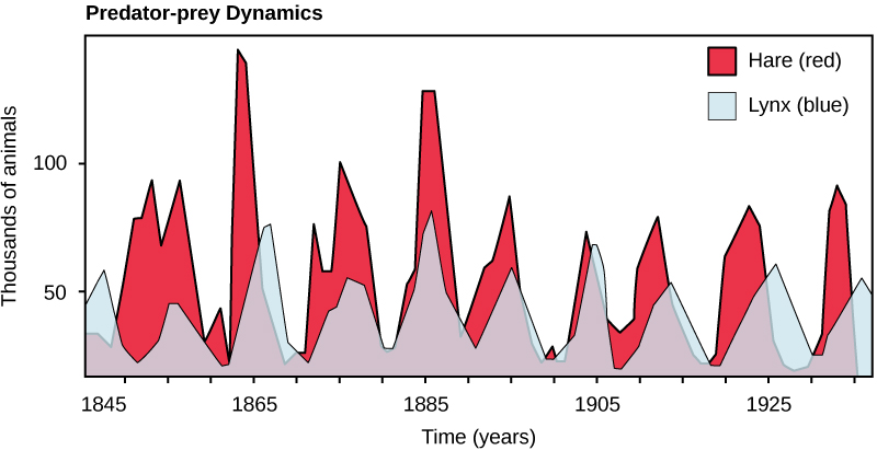 Image depicting population trends of Canadian lynx and snowshoe hare